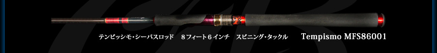 Tempismo MFS90001